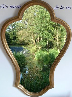 cover image of le miroir de la vie